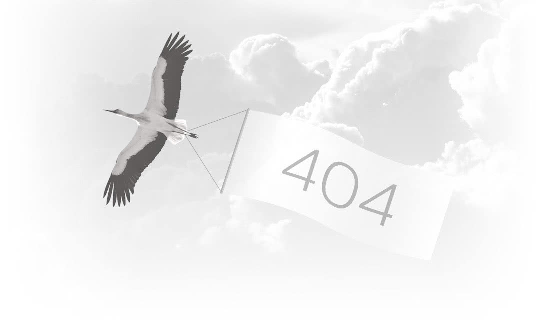 404